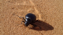 1 Maroko cestopis (13)