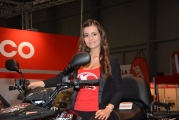 2 Motosalon 2015 hostesky