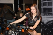 1 Motosalon 2016 hostesky (7)