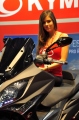 hostesky Motosalon Brno 2014 hostesky07