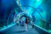 1 Orientarium zoo (1)