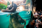 1 Orientarium zoo (3)