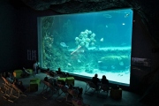 1 Orientarium zoo (5)