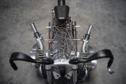 1 Revival Cycles Birdcage  (16)
