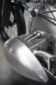 1 Revival Cycles Birdcage  (17)
