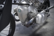 1 Revival Cycles Birdcage  (20)