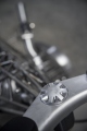 1 Revival Cycles Birdcage  (27)