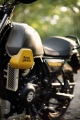 1 Royal Enfield Scram 411 (15)