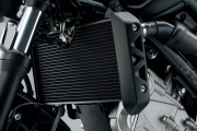 1 SV 650 2016 Suzuki18