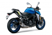 1 Suzuki GSX S1000 2021 (13)