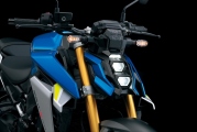 1 Suzuki GSX S1000 2021 (6)