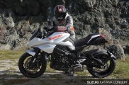 1 Suzuki Katana koncept (1)