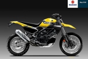 Suzuki SV650 Rally Oberdan Bezzi