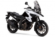 1 Suzuki V-Strom 1050 (3)