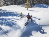 1 Timbersled2