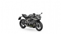 1 Triumph Daytona 660 (15)