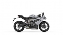 1 Triumph Daytona 660 (19)