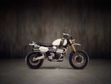 1 Triumph Scrambler 1200 (30)