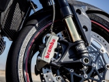 1 Triumph Speed Triple RS 2018 (6)