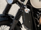 1 Triumph Street Scrambler (4)