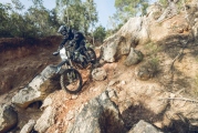 0000003722 Triumph TF 250-E (1)
