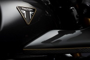 1 Triumph ThruxtonTFC (5)