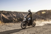 1 Triumph Tiger 800 XC08