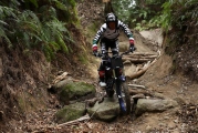 1 Yamaha TY-E trial (3)