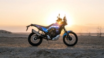 2 Yamaha Tenere 700 World Rally (20)