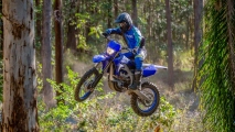 1 Yamaha WR250F 2022 (5)