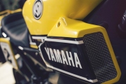 1 Yamaha XSR 900 Scrambler09