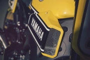 2 Yamaha XSR 900 Scrambler16