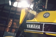 2 Yamaha XSR 900 Scrambler18