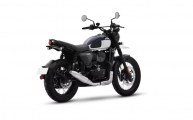 1 Yezdi Scrambler (3)