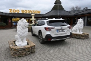 1 ZOO Borysew (8)