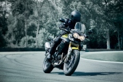 triumph tiger