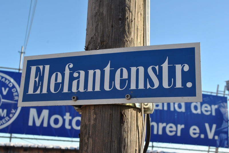 Elefantentreffen 2011: Sloni, kam se podíváš! - 4 - el11
