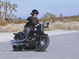 harley-davidson-flstsb-cross-bones-001