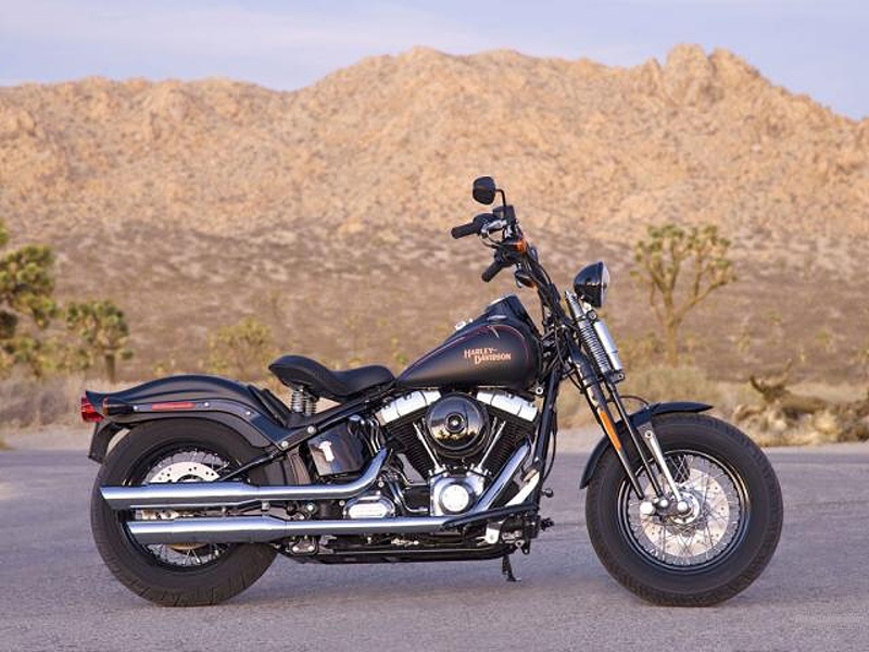 Video: Harley Davidson FLSTSB Cross Bones  - 3 - harley-davidson-flstsb-cross-bones-004