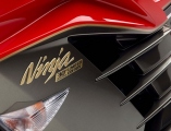30let kawasaki-zzr-1400-30th-anniversary-limited-edition_5