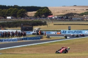 phillip island 4