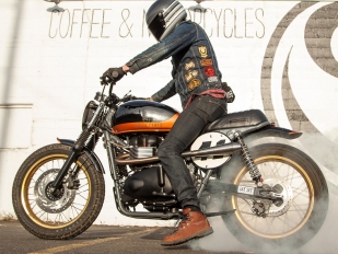 Tooth Gnasher: Triumph Scrambler