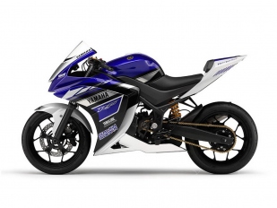 Yamaha R25 jde konečně na trh